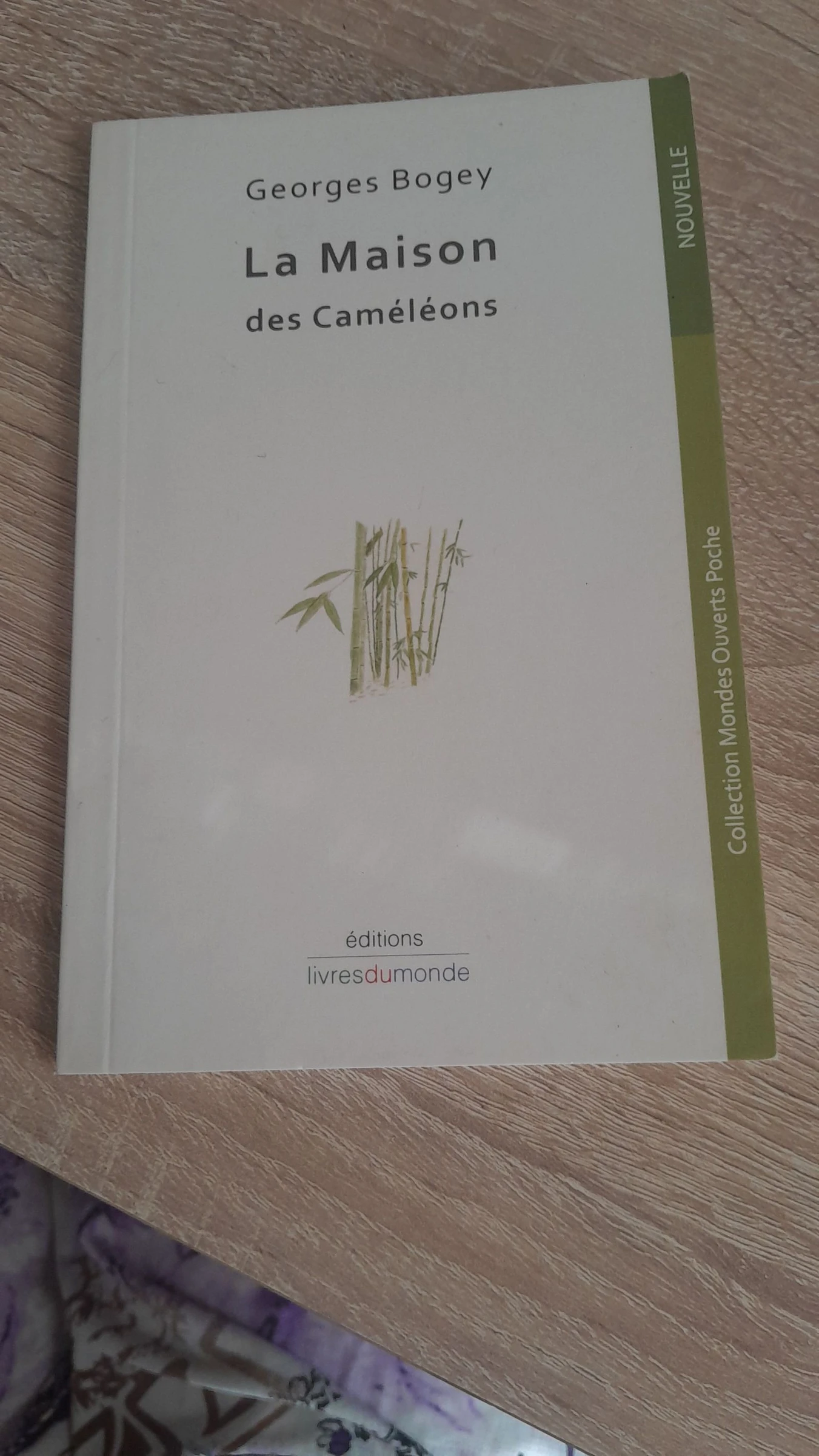 Petit roman humain, fluide qui change